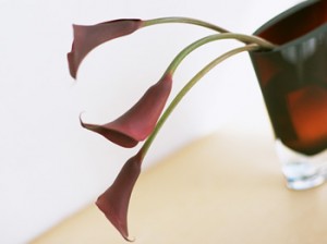 sample